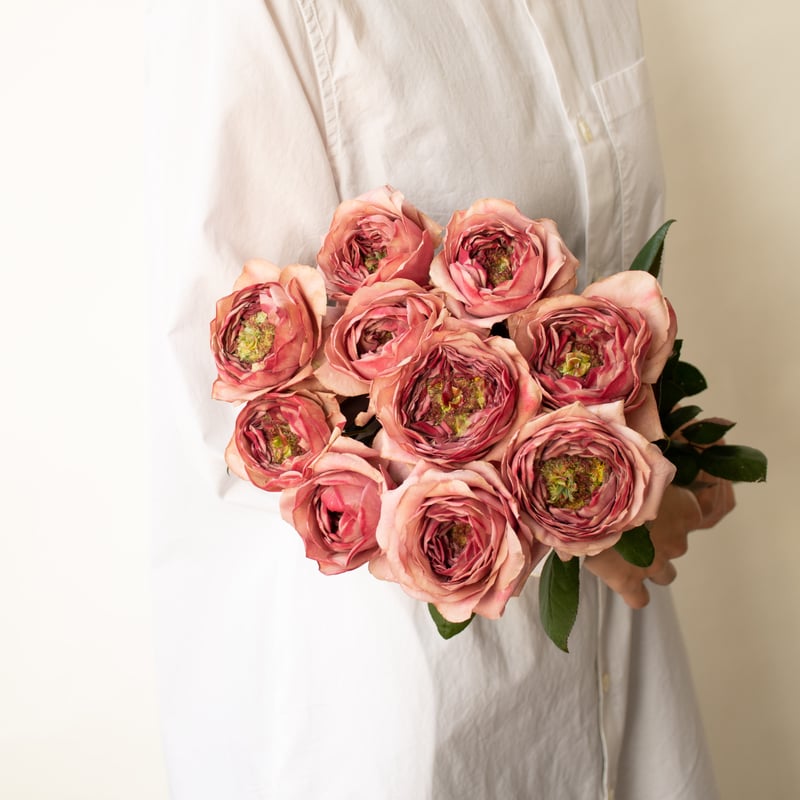 ゆ*や様 ハギ無しのLambros(ランブロス) Amazon.co.jp: uglyBROS