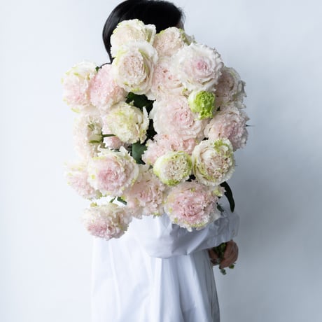 CATEGORY トルコキキョウ | tokyo_shokubutsu_zufu