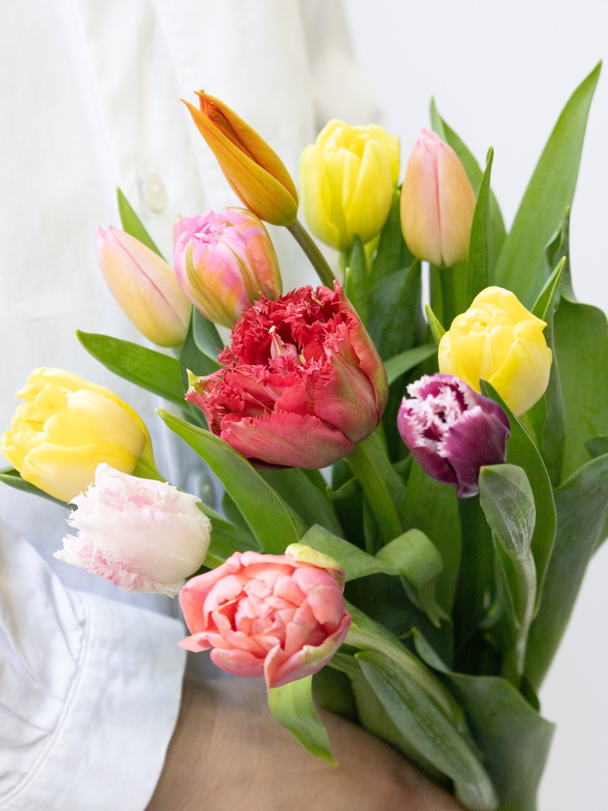 fit=scale-down,w=1200