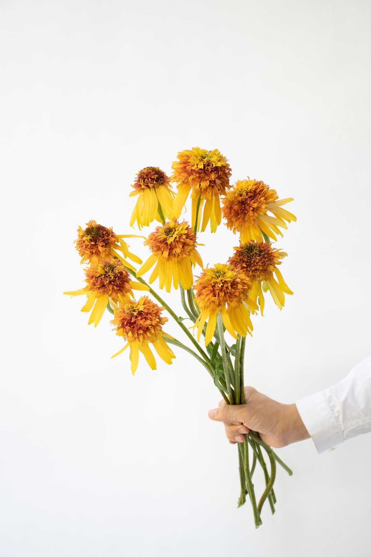 激レア　花柄　古いマーマレードジャー fit=scale-down,w=1200