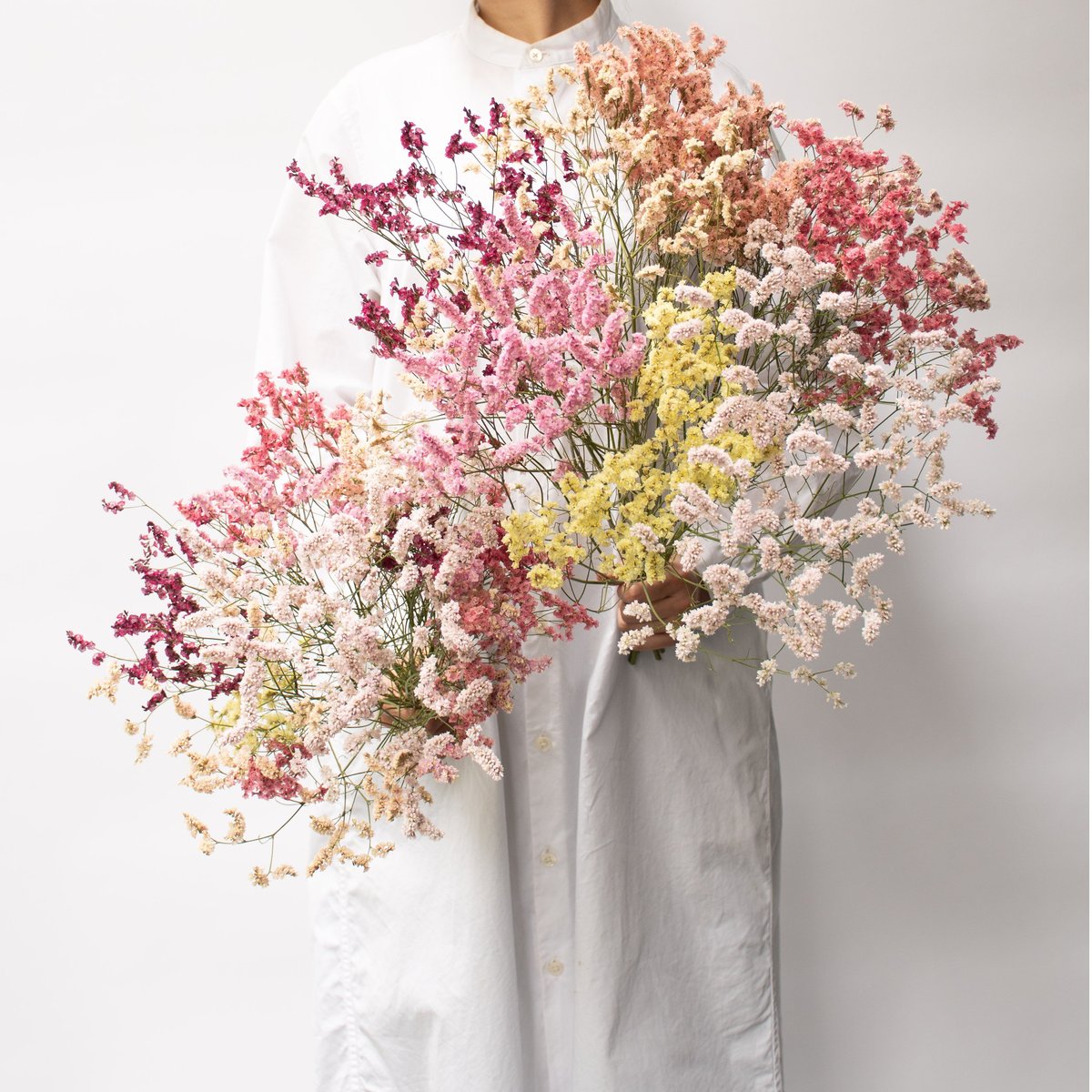 ドライフラワー「リモニュームミックス」大 | tokyo_shokubutsu_zufu