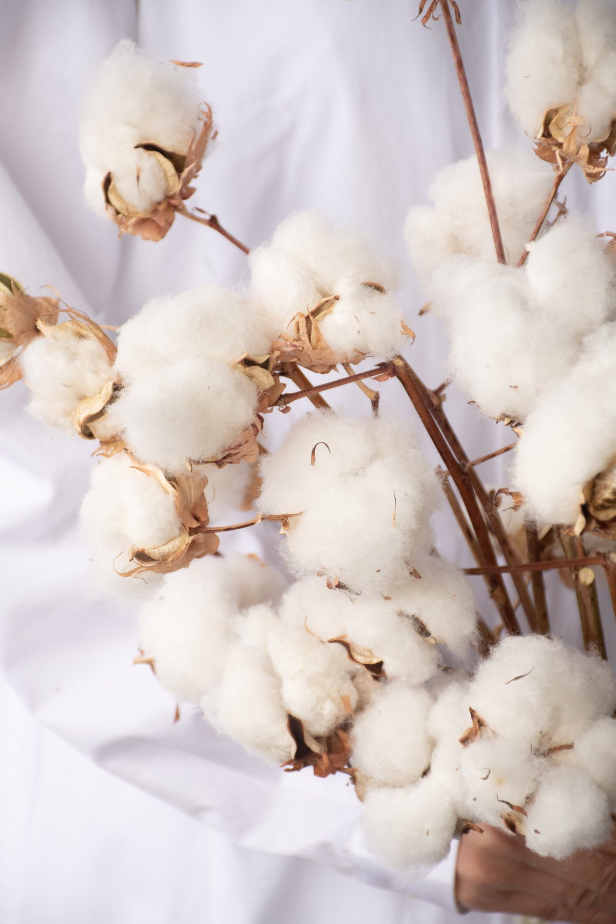 専用感謝Sale＊コットンツリーブリキアレンジ＆コットンドライボトル 専用感謝Sale＊コットンツリーブリキアレンジ＆コットンドライボトル