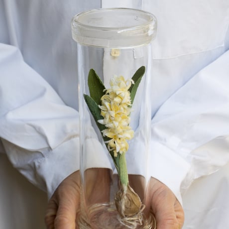 feltico×東京植物図譜「ヒヤシンスのブローチ＋球根ミックス」