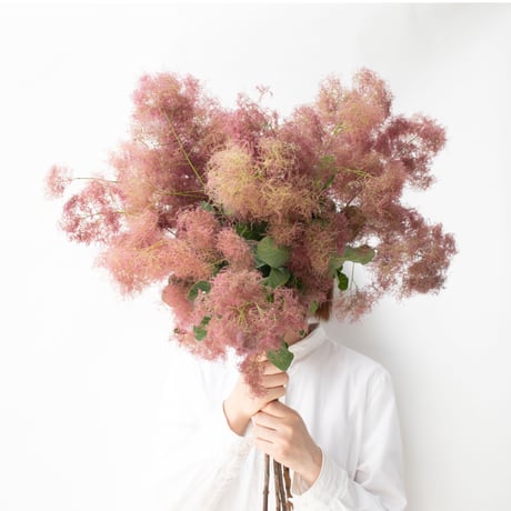 feltico×東京植物図譜「白詰草の首飾りとスモークツリー」