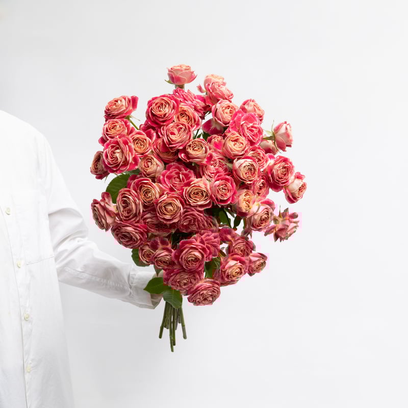 お値下中☆PLUMERIA※プロフ必読様 リクエスト 5点 まとめ商品 ぷみ*プロフ必読*様 リクエスト 5点 まとめ商品 - メルカリ