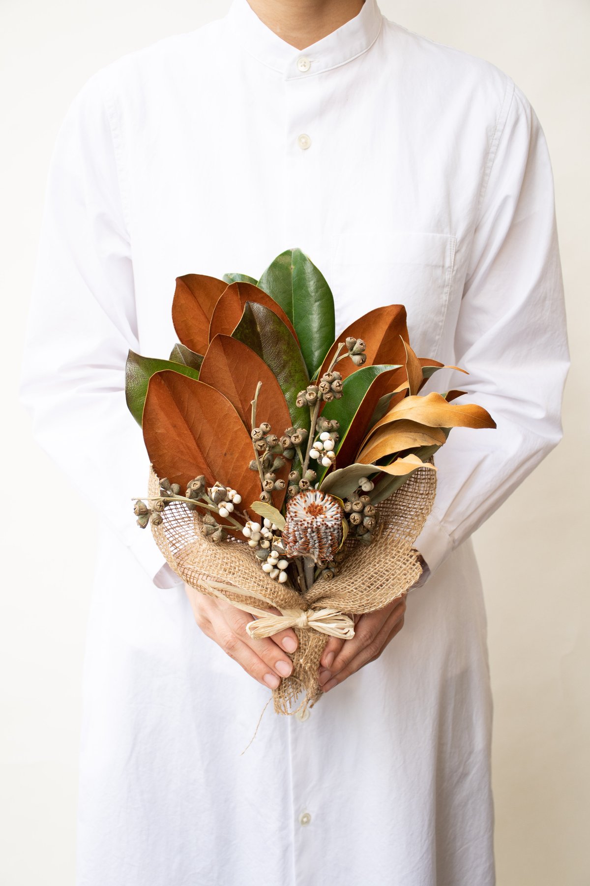 マグノリア | tokyo_shokubutsu_zufu