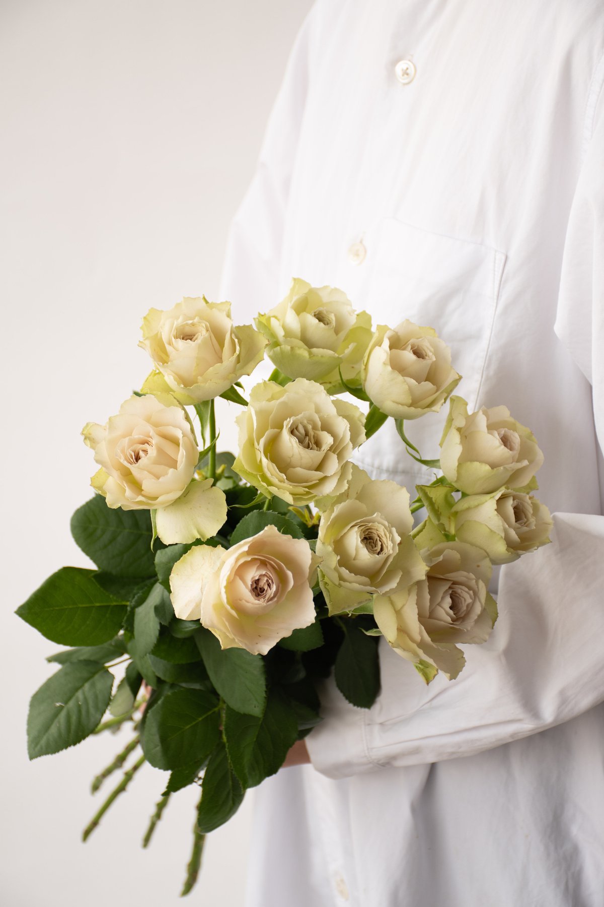 堀木園芸「インマイプレイス」 | tokyo_shokubutsu_zufu