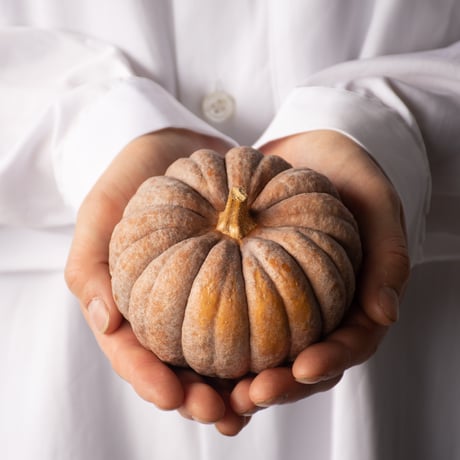 tokyo_shokubutsu_zufu