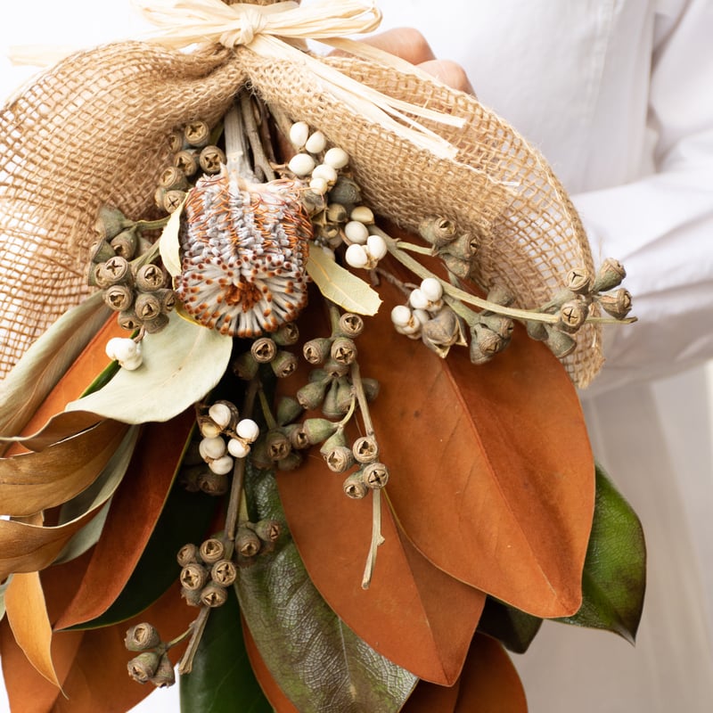 マグノリア | tokyo_shokubutsu_zufu