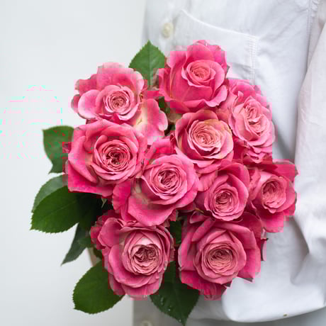 CATEGORY バラ | tokyo_shokubutsu_zufu