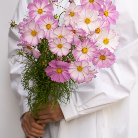 月が注ぐ花ページ tokyo_shokubutsu_zufu