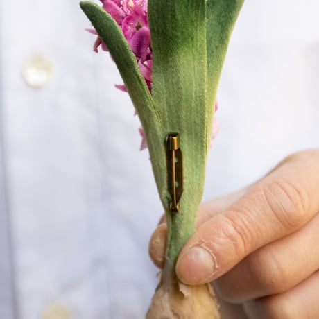 feltico×東京植物図譜「ヒヤシンスのブローチ＋球根ミックス」