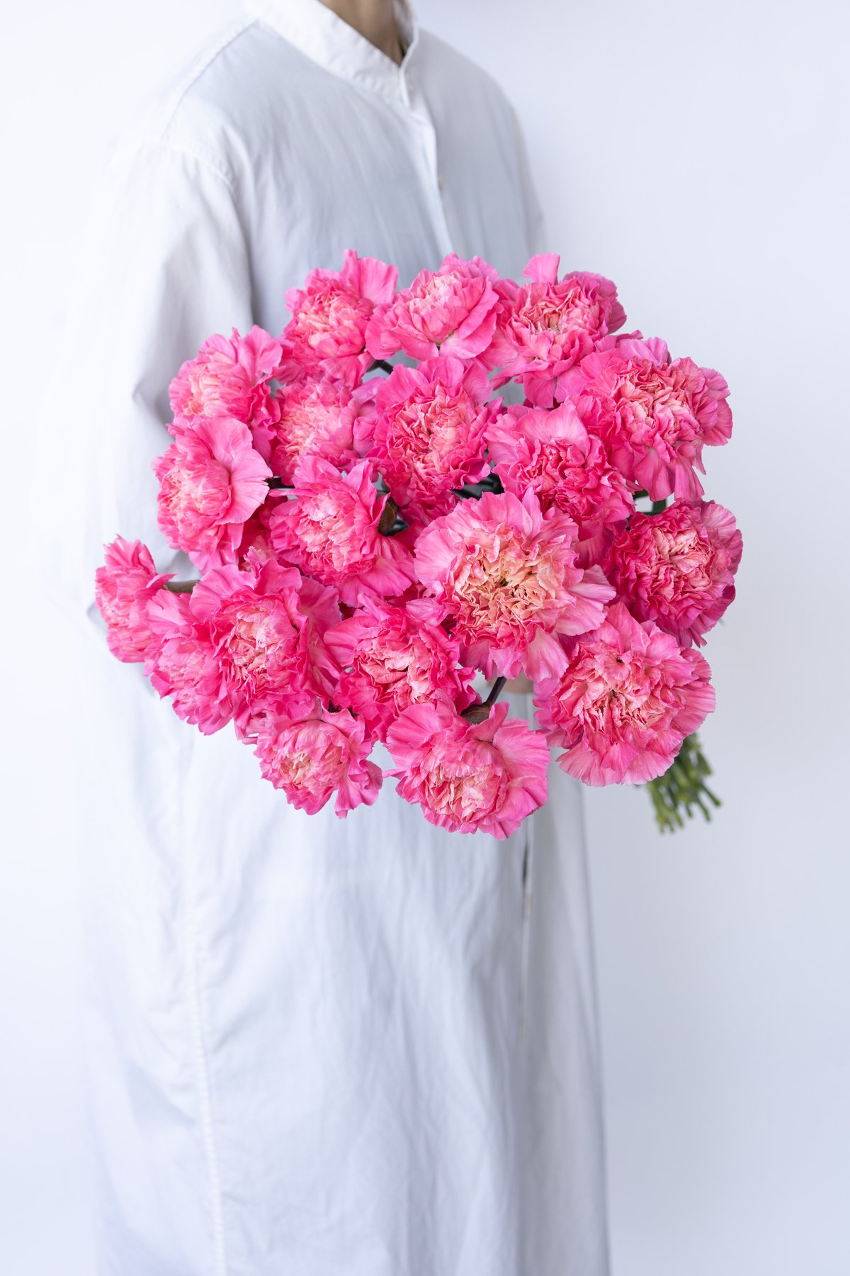 ミャンマー産ルビー お花と果実のカービング ak33_23check.jpg