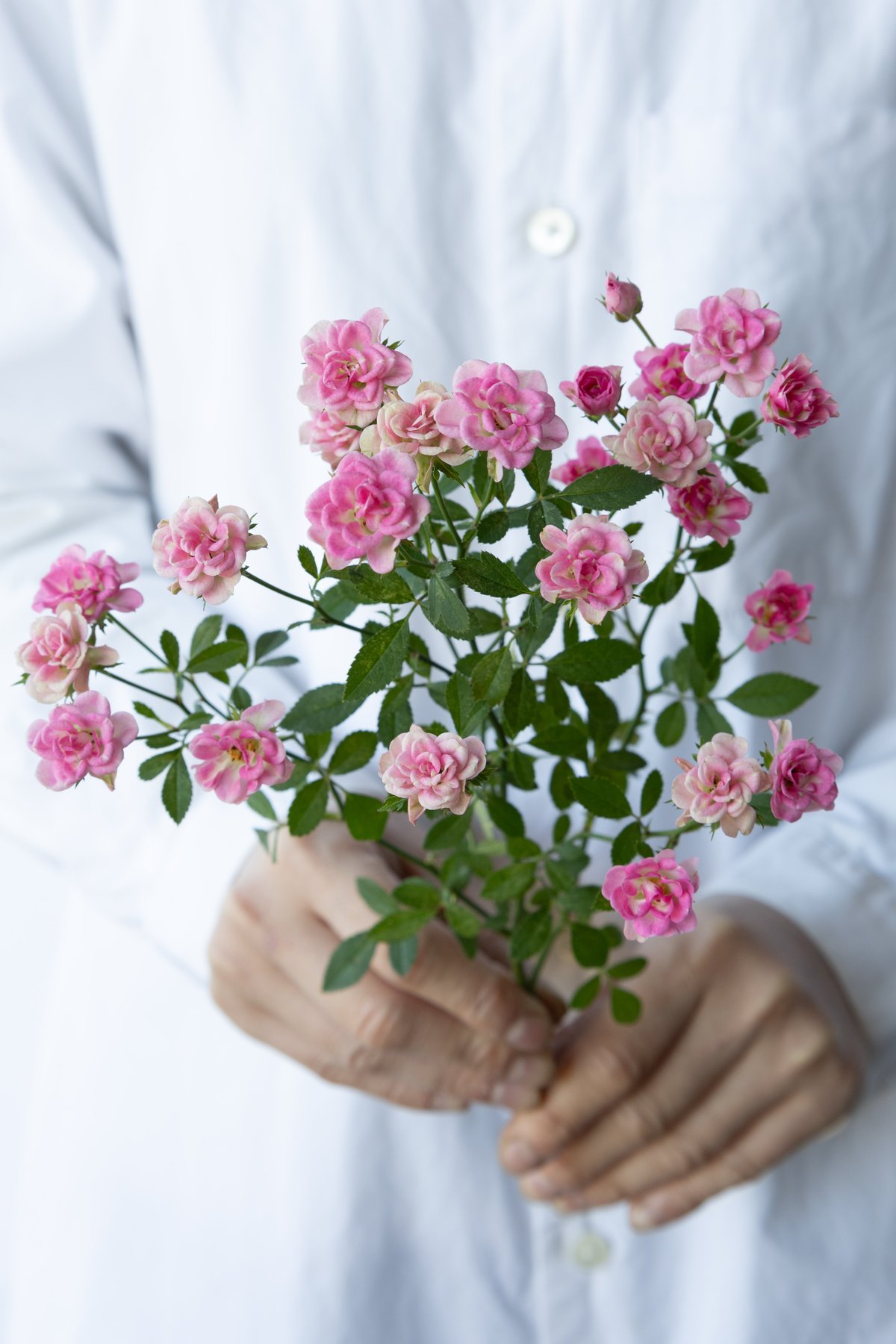 希少　ヴィンテージ　ターコイズ　ローズ　バラ　フラワー　アンティーク　925 アンティークハートスタンド ラナンキュラスニュアンス