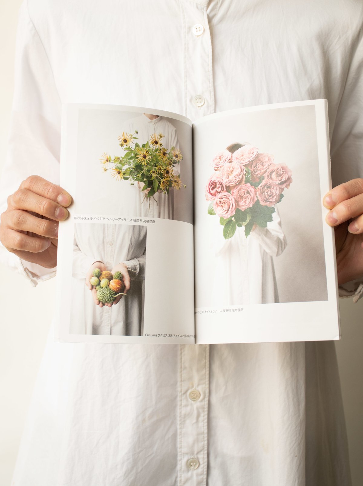 園芸植物図譜 with Flowers & Greens 平凡社 7006-17798-