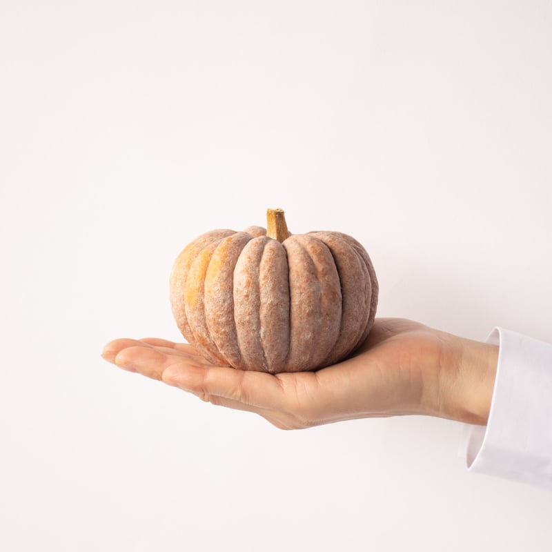 カボチャ「ジェームス」 | tokyo_shokubutsu_zufu