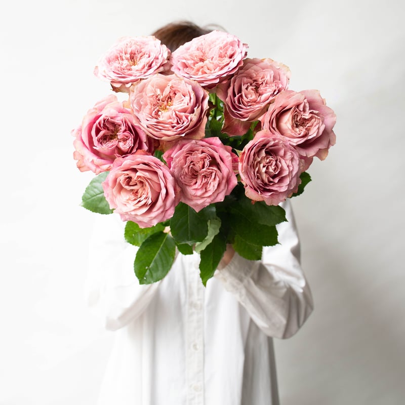 堀木園芸「ラストナイトオンアース」 | tokyo_shokubutsu_zufu