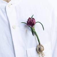 feltico×東京植物図譜「フリチラリアのブローチ＋球根ミックス」