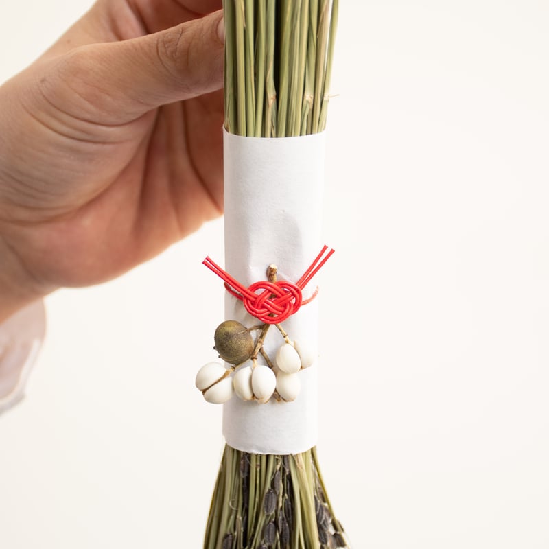 南京ハゼ | tokyo_shokubutsu_zufu