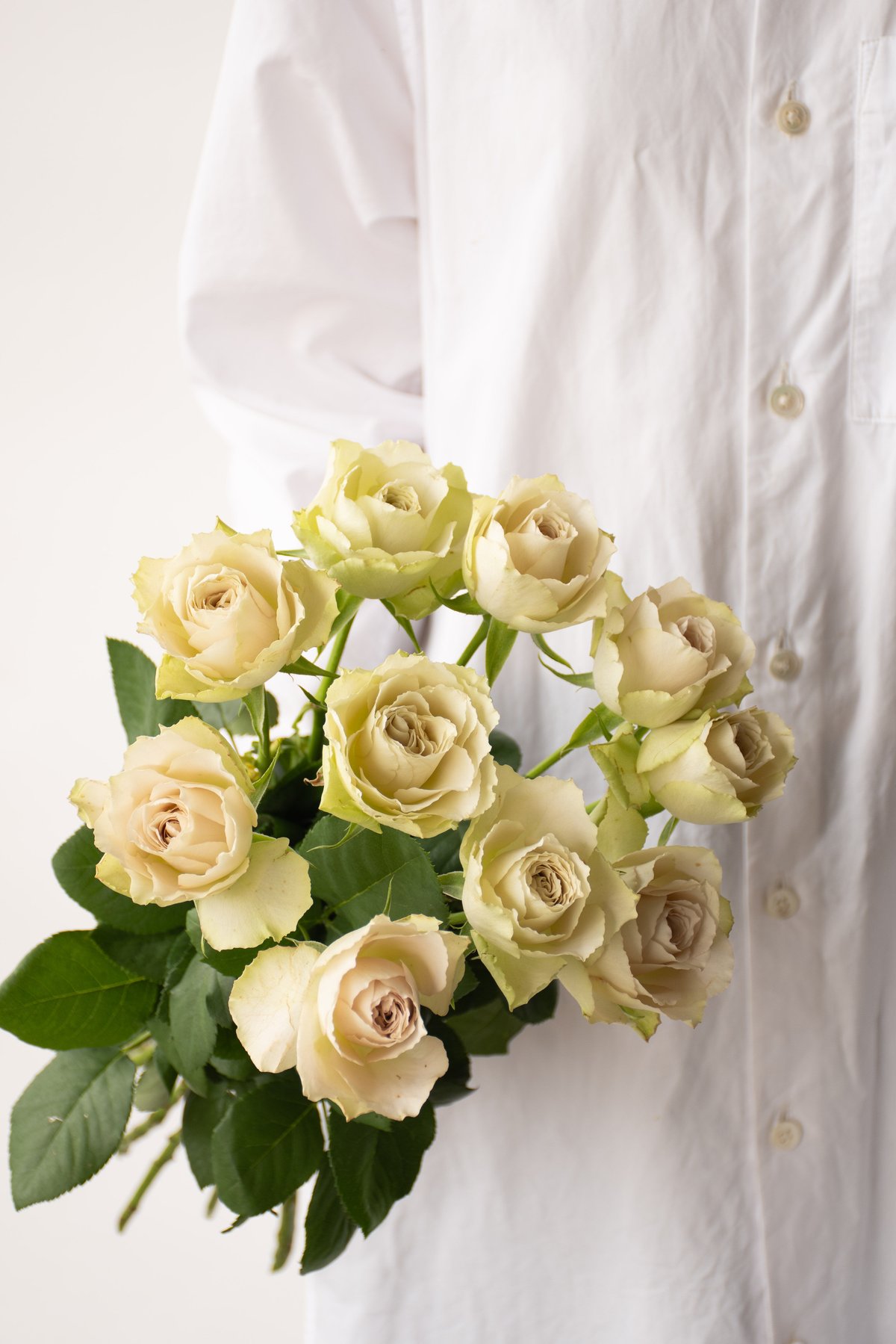 ブレマイ バラ売り 堀木園芸「インマイプレイス」 | tokyo_shokubutsu_zufu