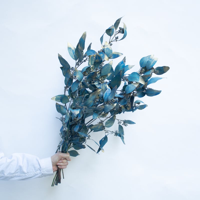 ポポラスとラグラスのボタニカルハーフリース＊ラッピング無料