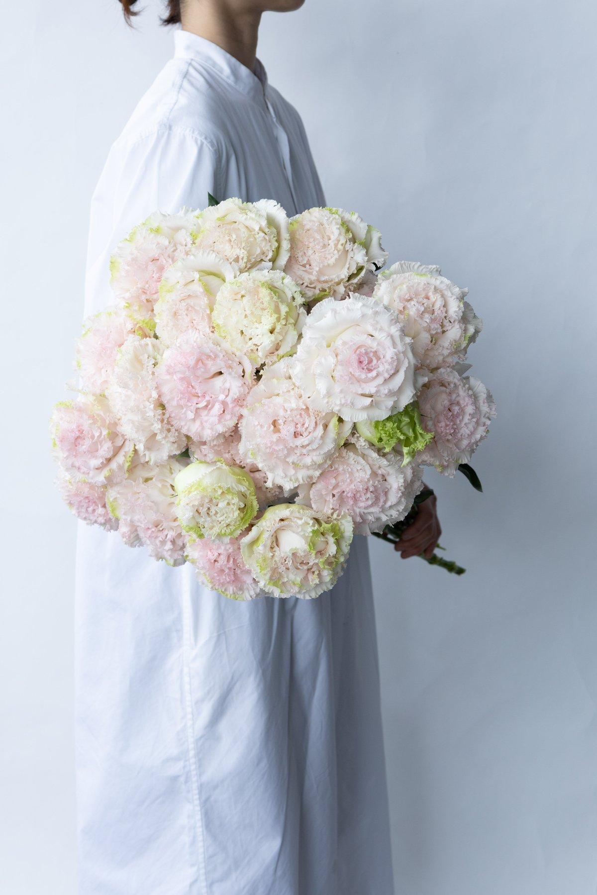 トルコキキョウ 生花】トルコキキョウ (八重グリーン)品種おまかせ【OR-13】今週