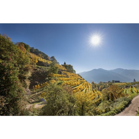 ルーディ・ピヒラー リースリング スマラクト アハライテン 2021 Rudi Pichler Riesling Smaragd Achleiten 2021