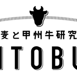 小麦と甲州牛研究所 【PANTOBURG】WEBショップ