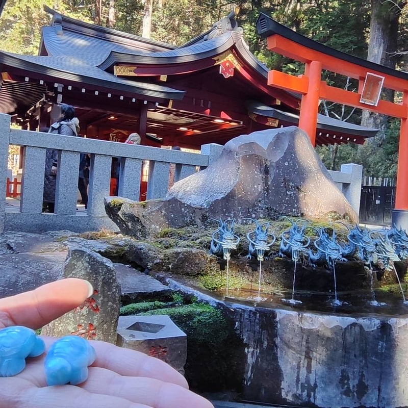 🐥🐉【最高品質】ラリマー亀彫刻③ | -縁 enishi-