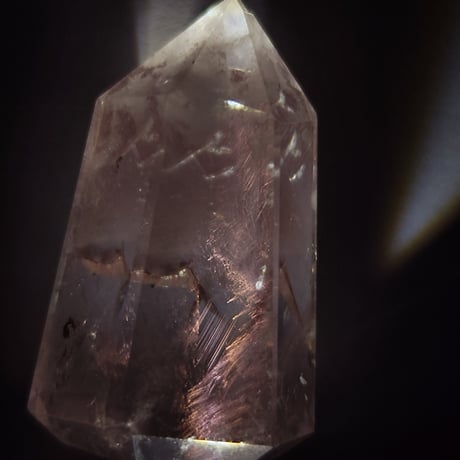 ピンクエンジェルラダー | STORES