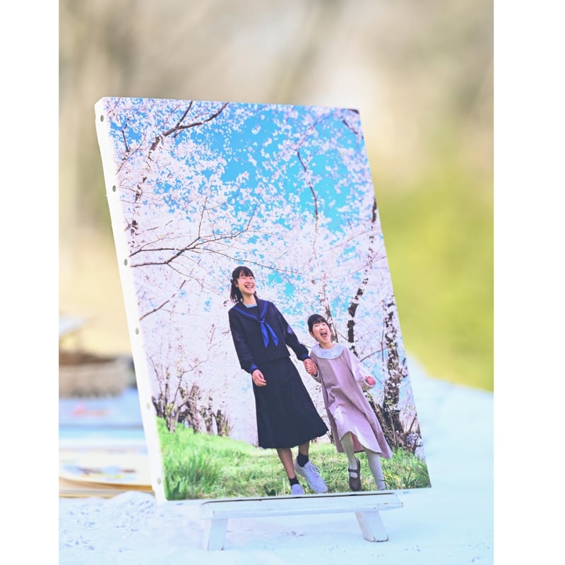 林鼓子 キャンバスパネル Amazon.co.jp: 林鼓子 キャンバスパネル : おもちゃ