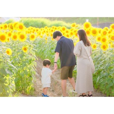 【8月】ひまわりフォト｜大垣ひまわり畑