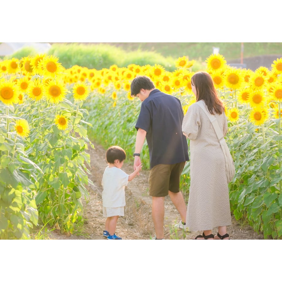 66b52955c49f180d952ff303