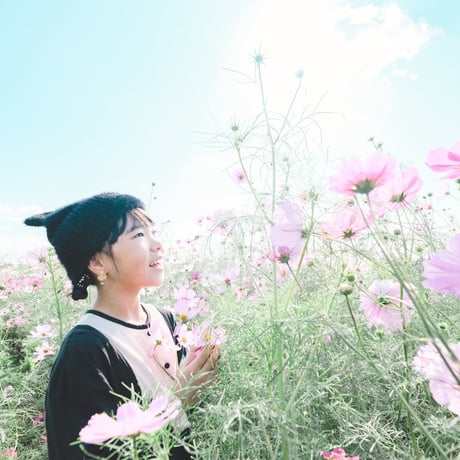 【10月末〜11月予定】コスモスフォト｜大垣市