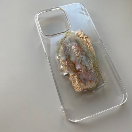iPhone 13pro case/nua