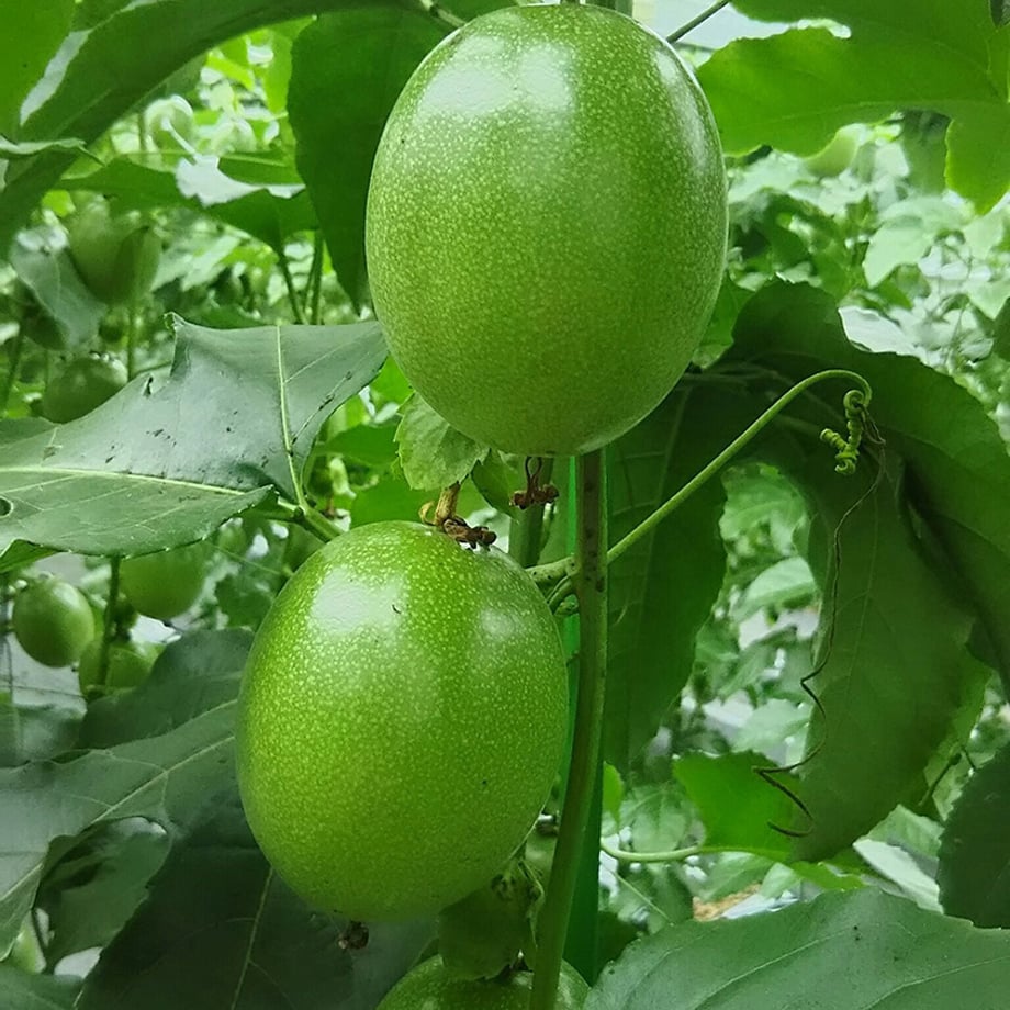 5ec840cf34ef0115bcaddf44