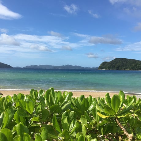 奄美大島の四季シリーズ　ナウパカフラワーエッセンス　～ご縁の雫～