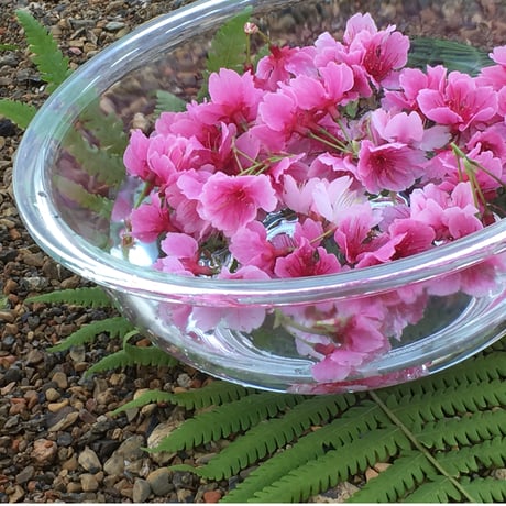 奄美大島の四季シリーズ　緋寒桜フラワーエッセンス　～春の雫～