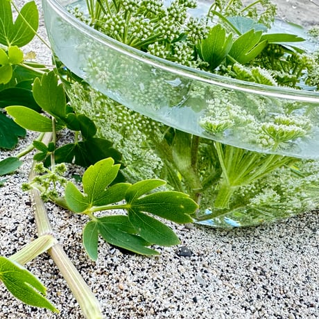 奄美大島の四季シリーズ 長命草フラワーエッセンススプレー  ～命の雫～
