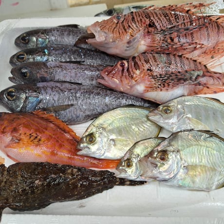 海からの贈り物