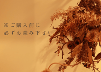 ご購入の前に必ずお読み下さい