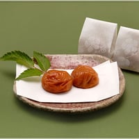 南高梅９粒入り