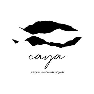 caya