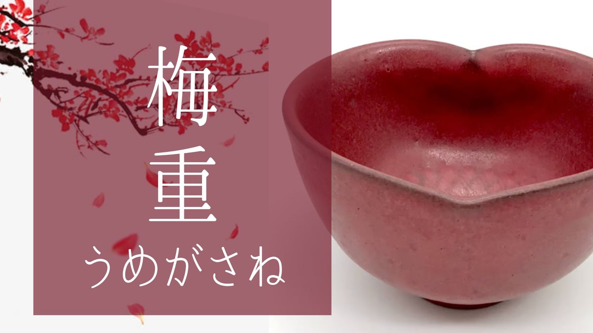 ♡小梅♡ ページ パラオ🫶🇵🇼 何枚目が好きですか？🤍