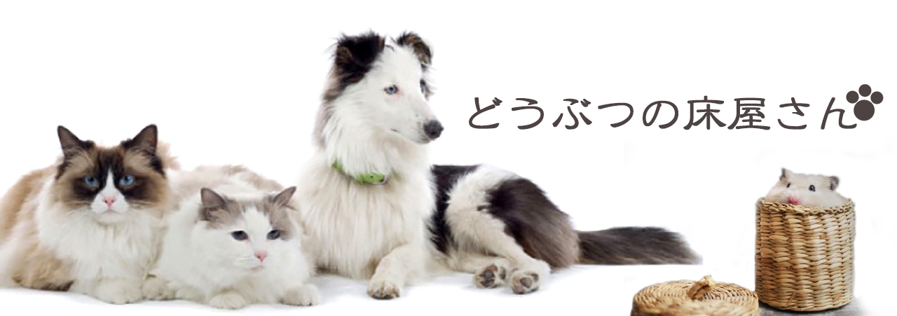 どうぶつの床屋さん