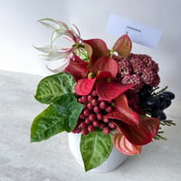 FRESH FLOWER ARRANGEMENT S