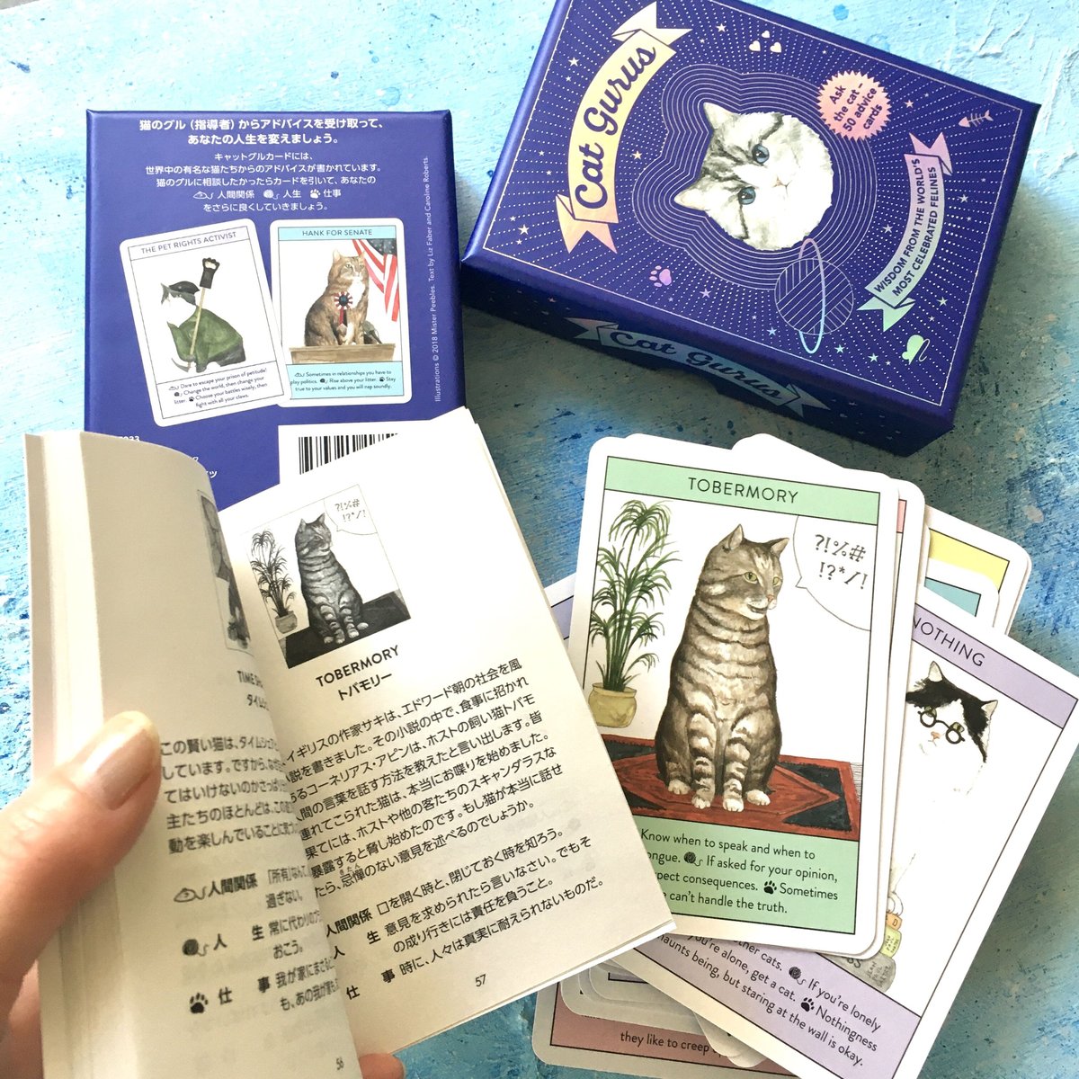 キャットグルカード（世界の猫のオラクルカード/日本語ガイド