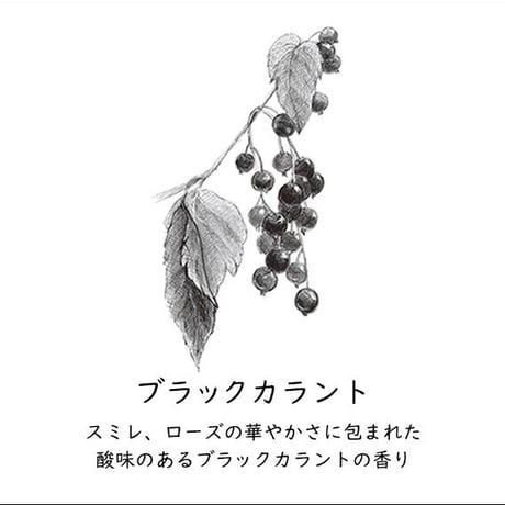 ペーパーインセンス by GRASSE TOKYO（紙のお香/ブラックカラントの香り/スライド式缶ケース/箱マッチ/クリップホルダー付き/日本製）1個