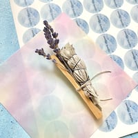 新芽のミニ・ホワイトセージ バンドル（with パロサント&ドライラベンダー）【撮影用サンプル/1点物/再入荷無し】