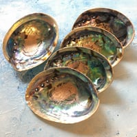 ニュージーランド・アバロンシェルの器（長径約13~13.5cm/スマッジバンドルやパロサントを置けるサイズ/ナチュラル仕上げ）1個